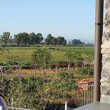 Oasi Di Francesca * Gerbini