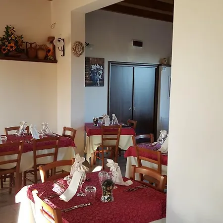 Oasi Di Francesca Gerbini